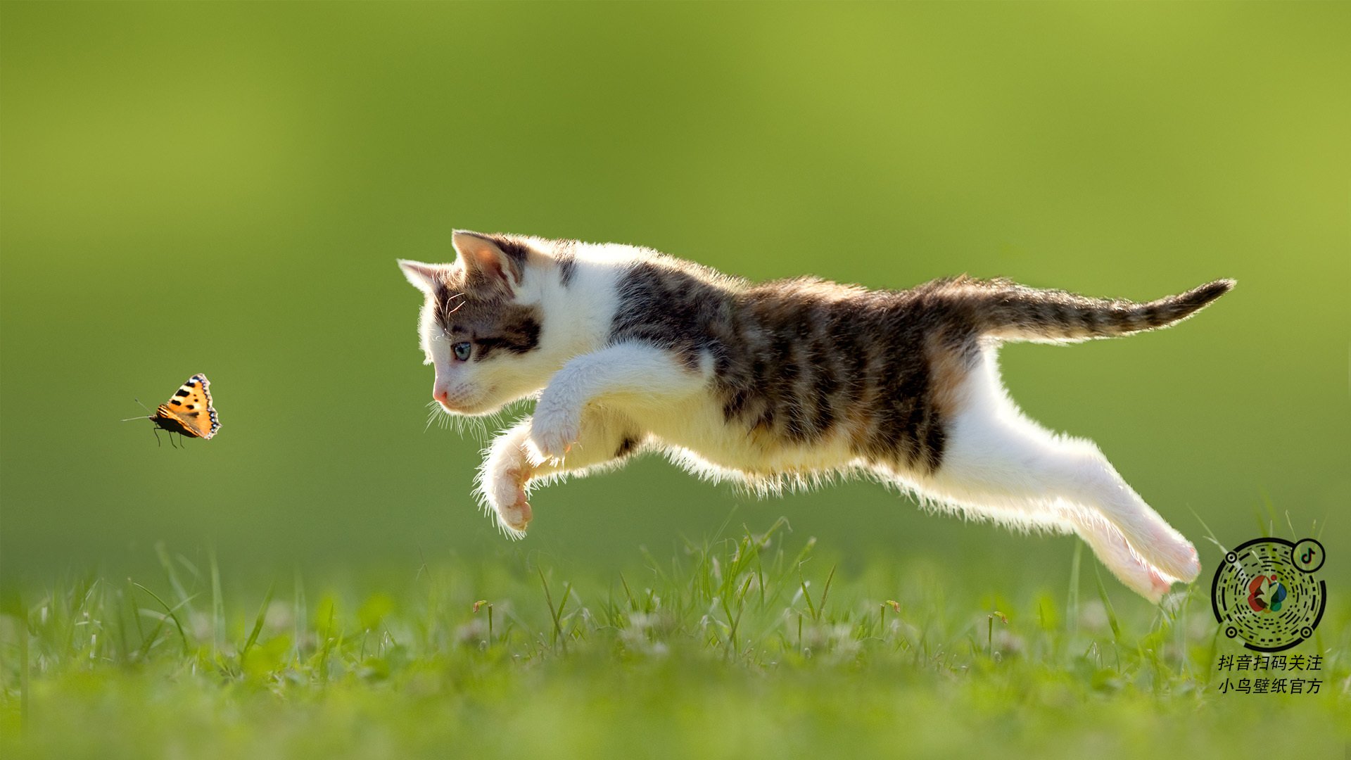 华体会登录-当蓝狮遇见雄狮，一场慈善赛的降维打击，卡马文加如何导演了技术扶贫？